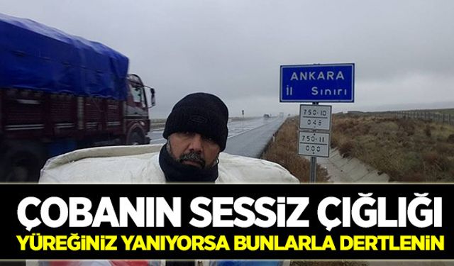 Çobanın sessiz çığlığı!