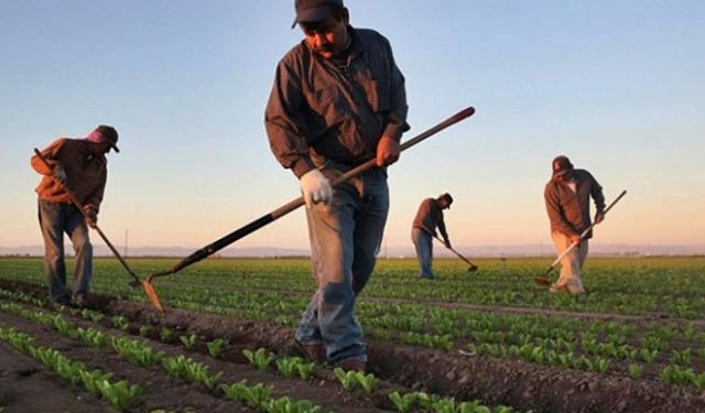 Sevindiren gelişme; Tarımsal nüfus gençleşiyor