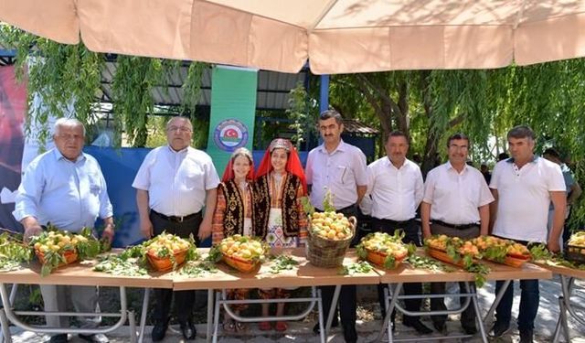 Maraş’ta Kayısı Tarla Günü tertiplendi