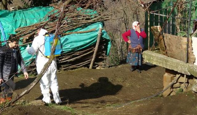 Şarbon paniği sonrası açıklama geldi