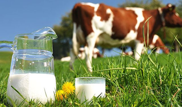 Süte zam gelecek mi?