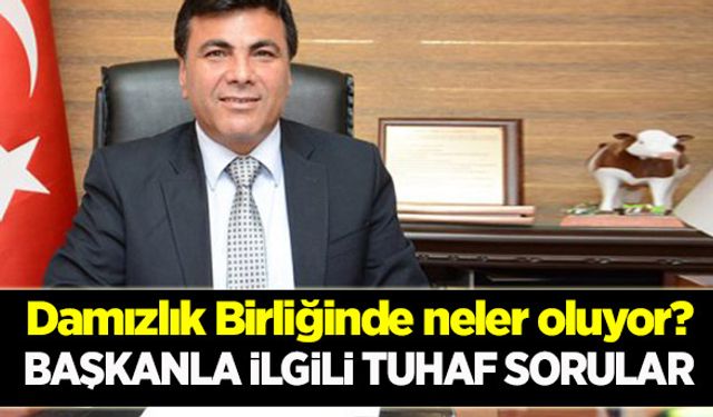 Damızlık birliğinde tuhaf sorular!