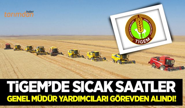 TİGEM’de yeni genel müdür görevine hızlı başladı!