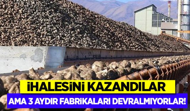 Şekerde firmaların kafası karışık!