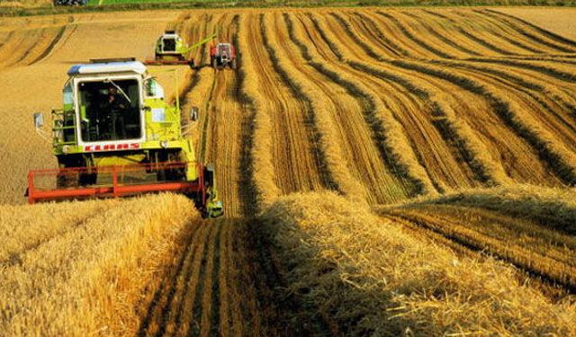 AB bütçesinde tarım çatlağı