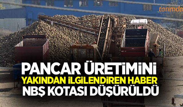 Son dakika: NBŞ kotası düşürüldü