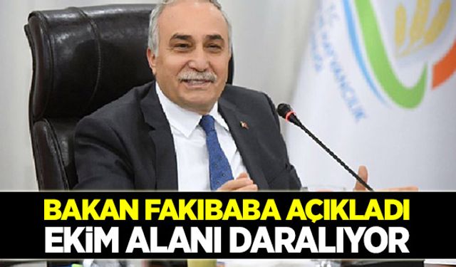 Bakan Fakıbaba açıkladı: Buğday ekim alanı daralıyor!