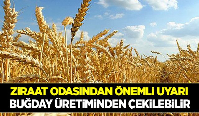 Orta Anadolu buğdaydan uzaklaşabilir!