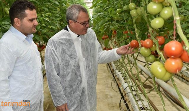 Manisa Valisi: Seralarda incelemelerde bulundu