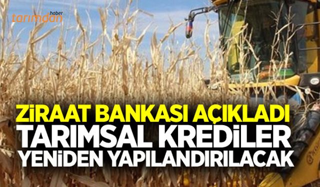Ziraat Bankası tarımsal kredileri yüzde 11 ile yeniden yapılandıracak!