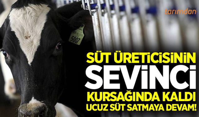 Ucuz süt satmaya devam!