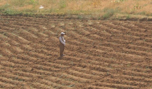 Düzceli çiftçiye borç erteleme duyurusu
