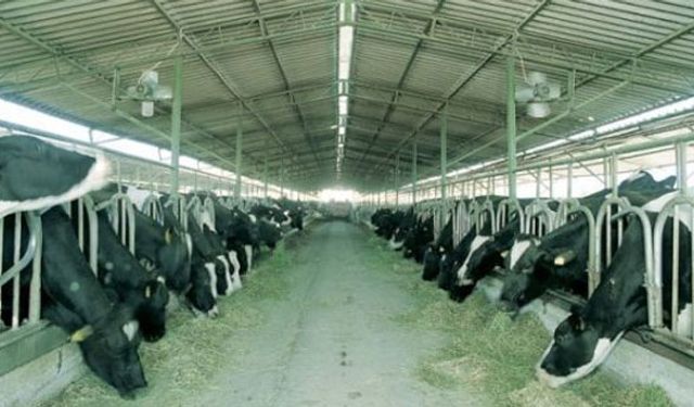 Hibe desteklerini kaçırmayın