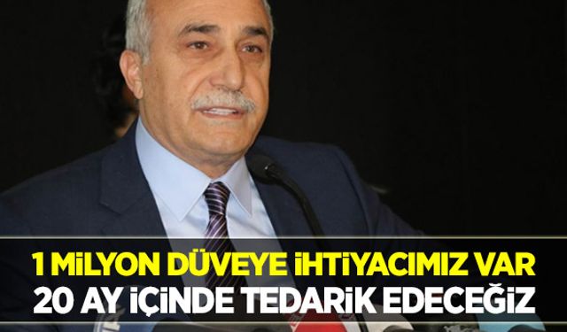 İthalatı önlemek için 1 milyon düveye ihtiyacımız var!