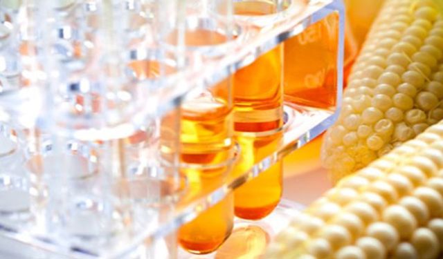 Nişasta bazlı şeker şüphesi Bakanlar Kurulu’na bulaştı!