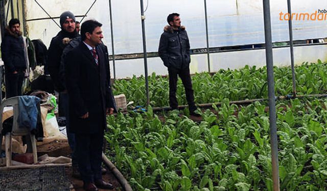 Çiftçinin hasarı tespit edilerek Bakanlığa gönderilecek