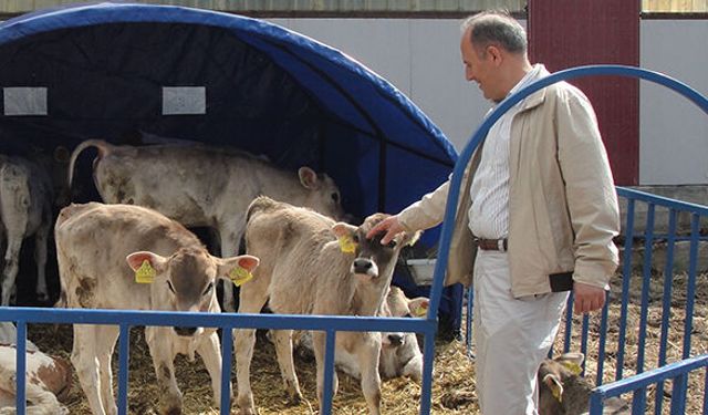 Buzağı desteklerinde 31 Ağustos son gün!