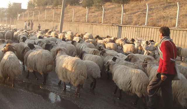 Genç çiftçi hibe başvuruları 20 gün sürecek