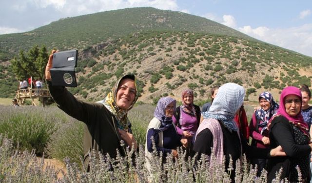 Kadın çiftçiler lavanta ile kazanacak