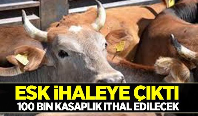 ESK 100 bin baş kasaplık hayvan için ihaleye çıkıyor
