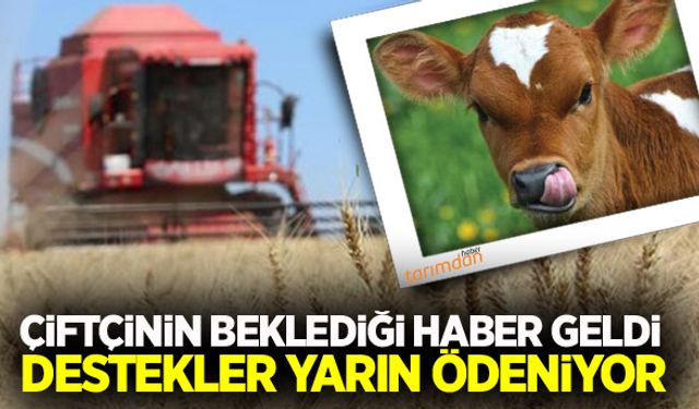 Buzağı, mazot ve gübre destekleri yarın ödeniyor