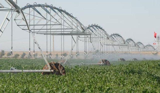 Sulama sistemlerine yüzde 50 hibe