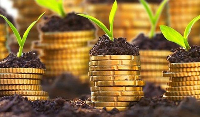 Tarımsal desteklerden faydalanmak için son dönemeç!