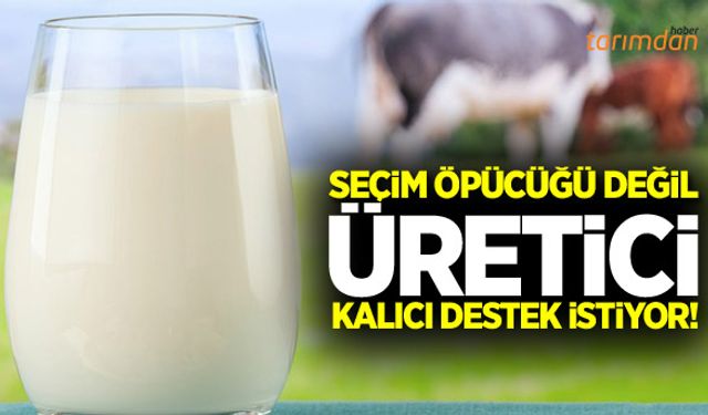 Süt üreticisi seçim öpücüğü değil kalıcı destek bekliyor!