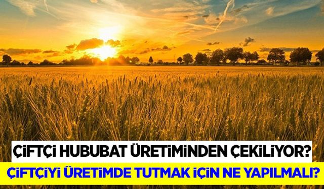 Çiftçi hububat üretiminden çekiliyor!