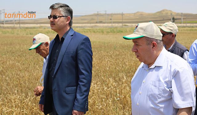 Eskişehir’de yeni bitki çeşitleri çiftçilere tanıtıldı!