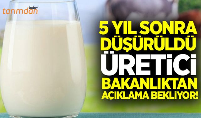 Süt desteğinde büyük şok! Koyun keçiden aldılar ineğe verdiler!