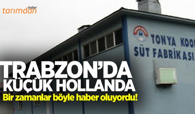 Trabzon’da küçük Hollanda kapandı!