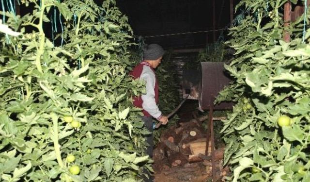 Üretici don nöbetinde