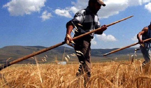 ATB: Tarımda her zaman iş var