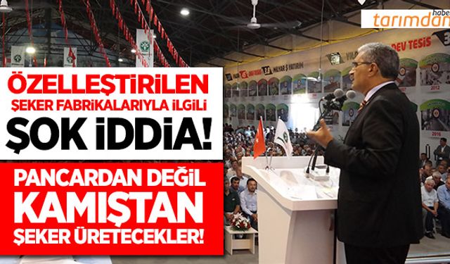 Özelleştirilen şeker fabrikaları ile ilgili şok iddia!