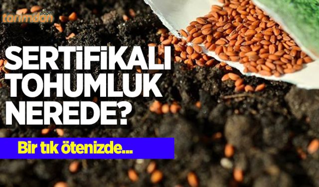 Sertifikalı tohumluk nerede?