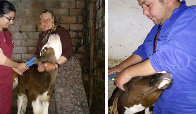 Küpeleri artık il müdürlükleri yapacak!