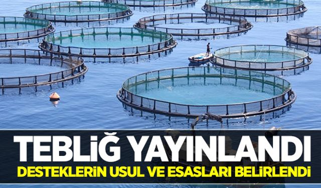 Desteklerle ilgili tebliğ yayınlandı