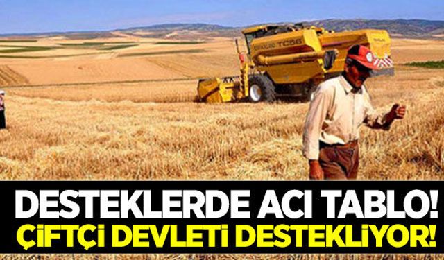 Devlet çiftçiyi değil çiftçi devleti destekliyor!