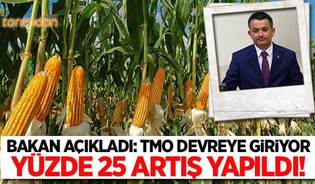 Bakan açıkladı: TMO mısıra müdahale edecek!
