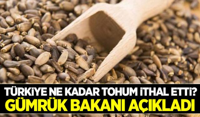 Türkiye 5 yılda tohum ithalatına 1.2 milyar dolar harcadı!