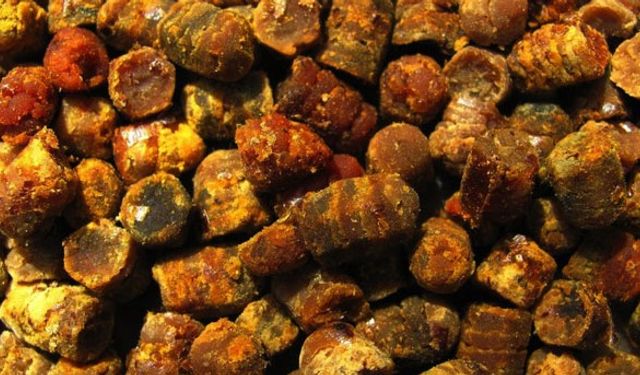 Arı ekmeğinin faydaları saymakla bitmiyor