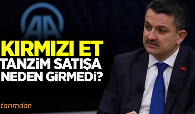 Kırmızı et tanzim satışa neden girmedi?