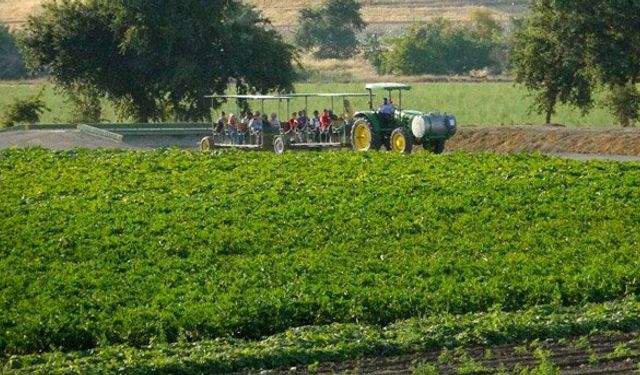 İyi tarımın lideri Gaziantep oldu
