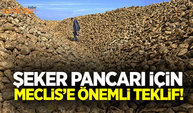 Pancar üretimini garanti altına almak için Meclis’e önemli teklif!