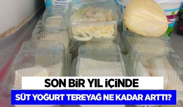 Tüketicide süt fiyatları son bir yılda yüzde 25 arttı!