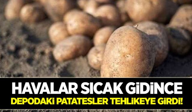 Patatesler stokta kaldı!