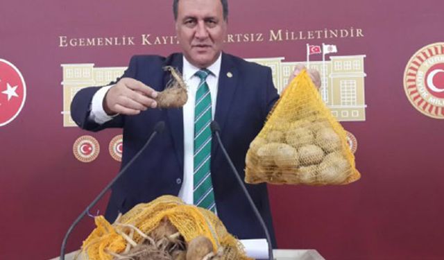 Lisanslı depoculuk olmadığı için patatesler çürüdü!