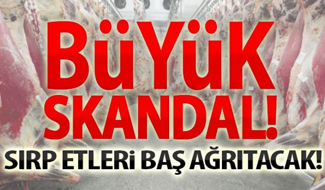 Büyük skandal! Sırp etlerinde hastalık çıktı...