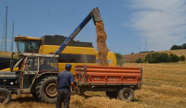 Buğday alım fiyatı açıklandı